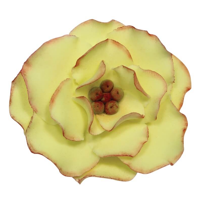 Briar Rose Flower Petal Cutter Set 4