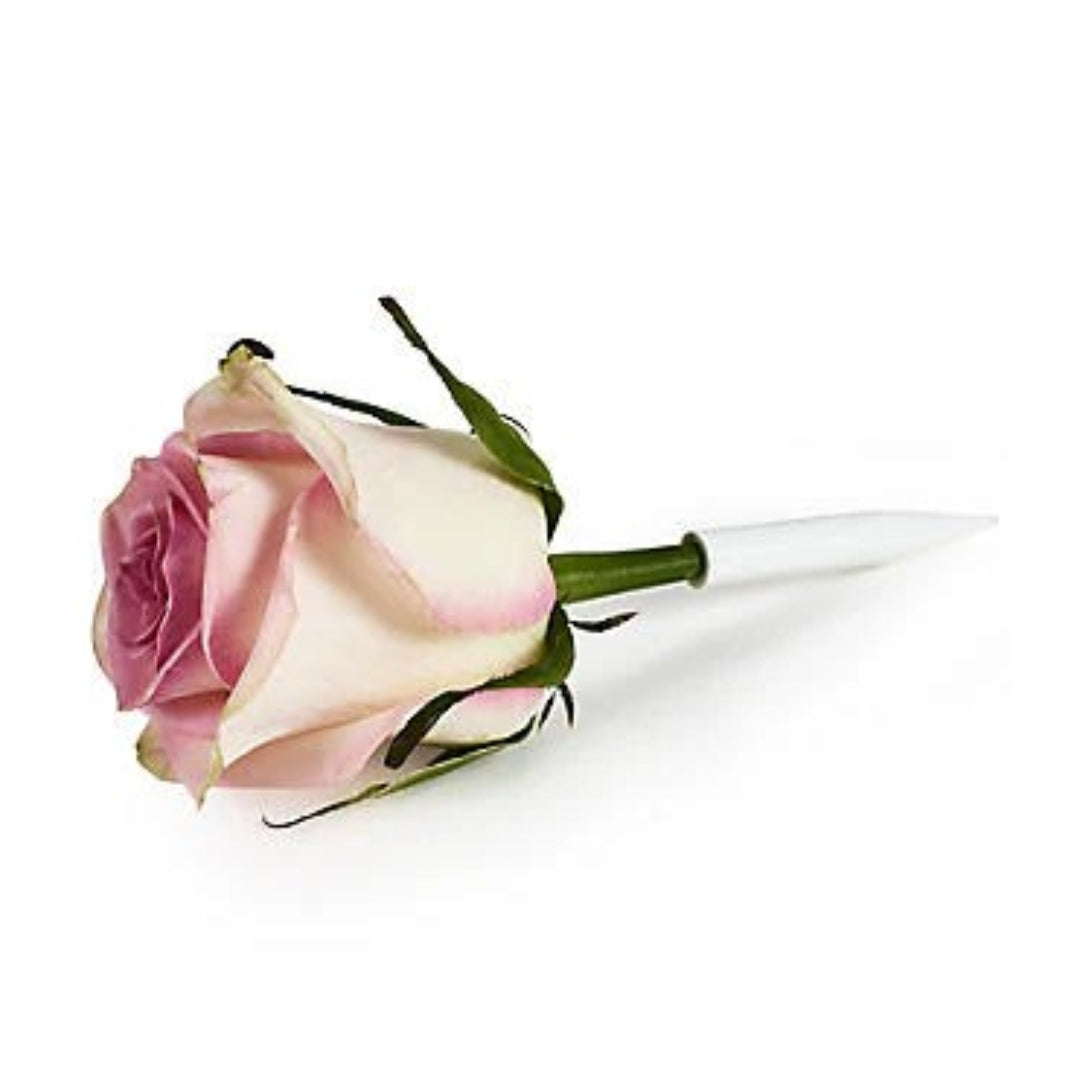 Flower Pics Large 6pk